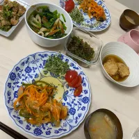 Snapdishの料理写真:鮭南蛮|ᴍɪsᴀᴛᴏさん