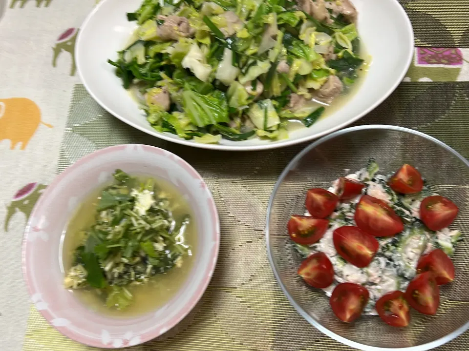 Snapdishの料理写真:春キャベツと鶏肉のニラソース炒め、水菜の卵とじ、ゴーヤと新たまねぎのツナサラダ|peanutsさん