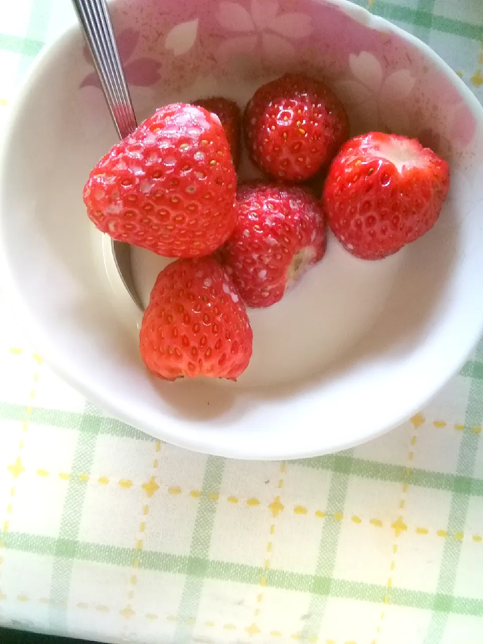 自家製イチゴ🍓(酸っぱい)|のばーきさん