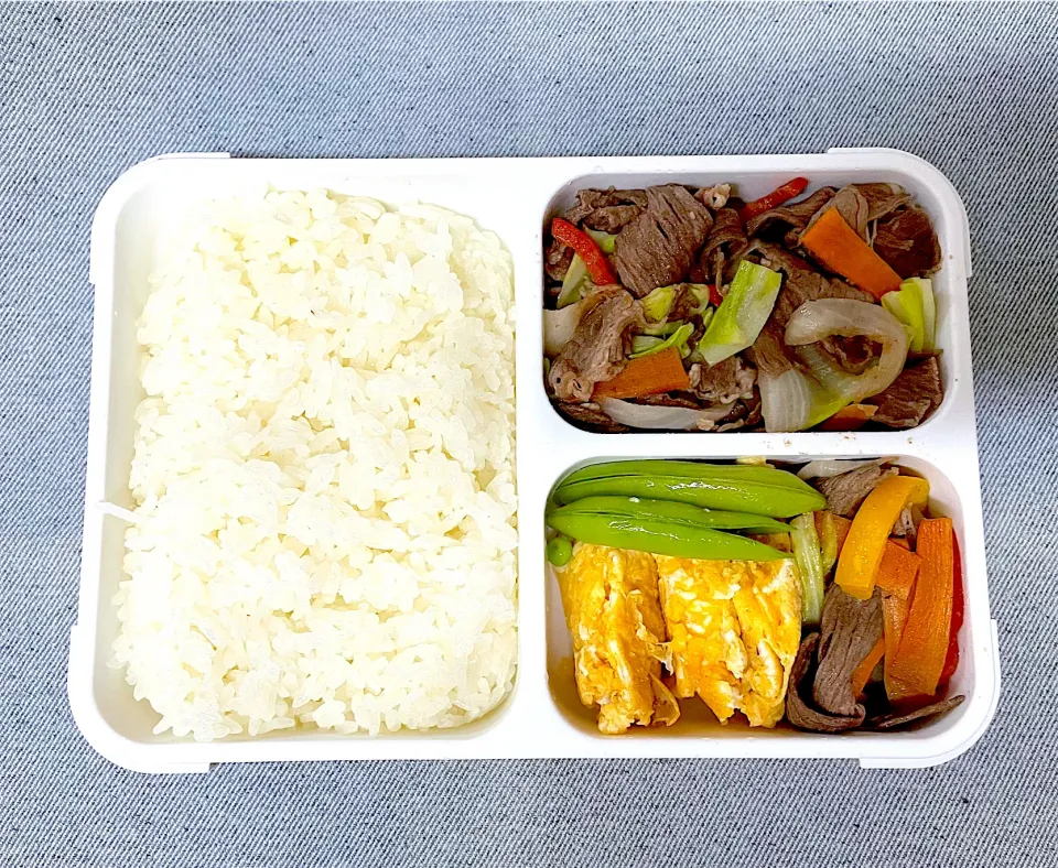 Snapdishの料理写真:今日の社会人男子お弁当🍱|とんちゃさん