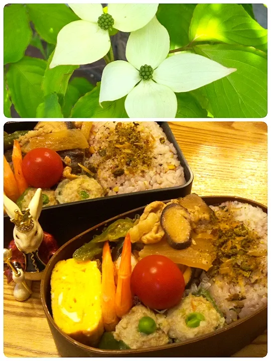 Snapdishの料理写真:'22．5/12
本日のジジババ弁当🍱|たえさん