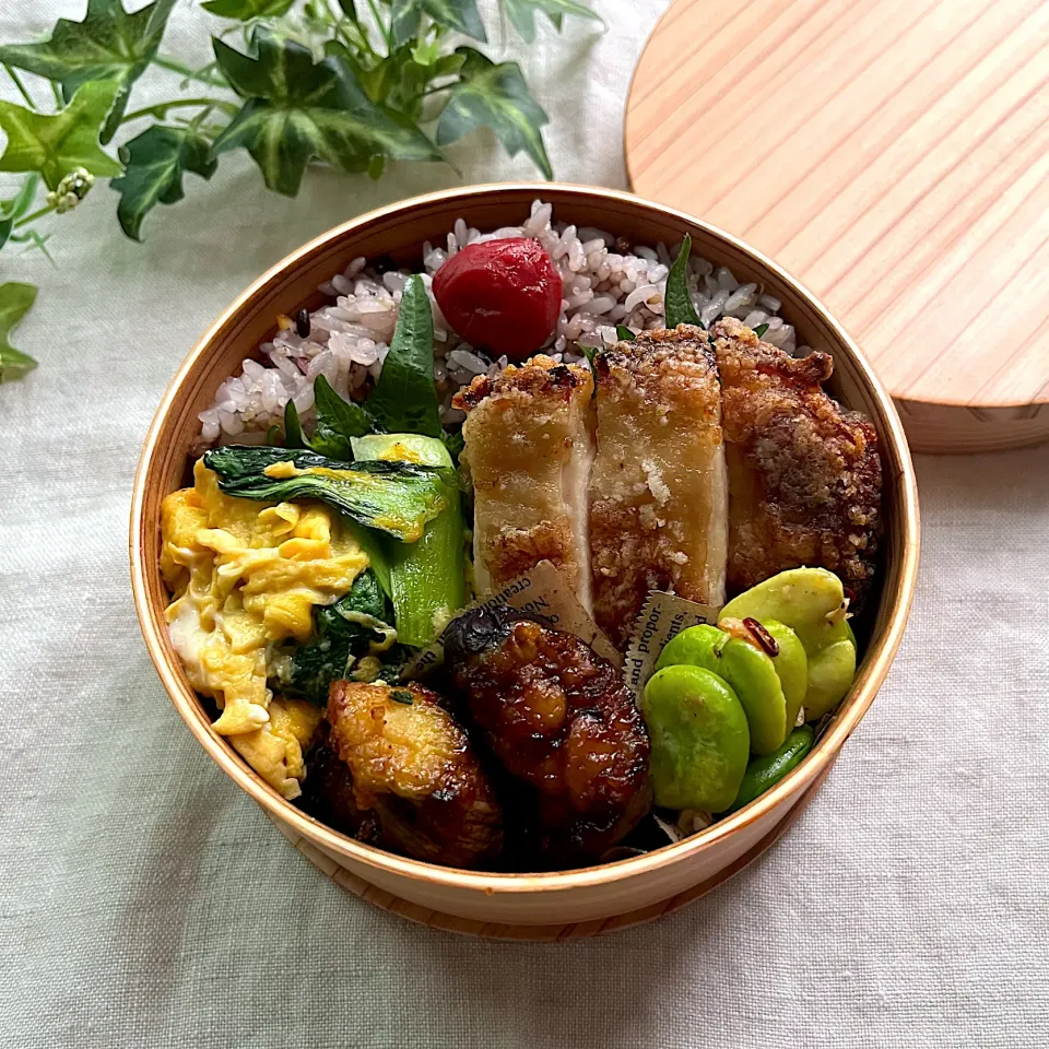 今日のお弁当|あここさん