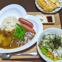 Snapdishの料理写真:新玉たっぷりカレー|きなこなっつさん