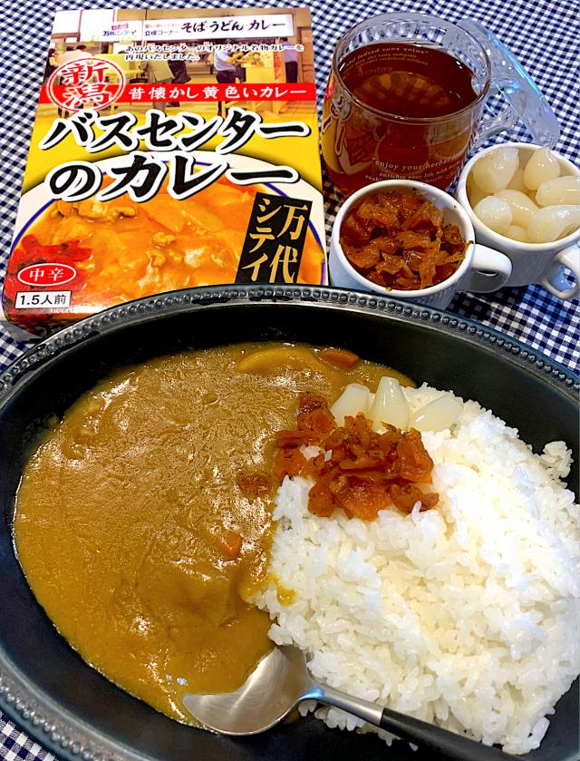 新潟名物バスセンターカレーレトルトを食べる/シュトママ