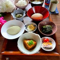 サミカさんの料理 MOMOちゃんから頂いたお豆腐でヘルシー御膳出来ました😋