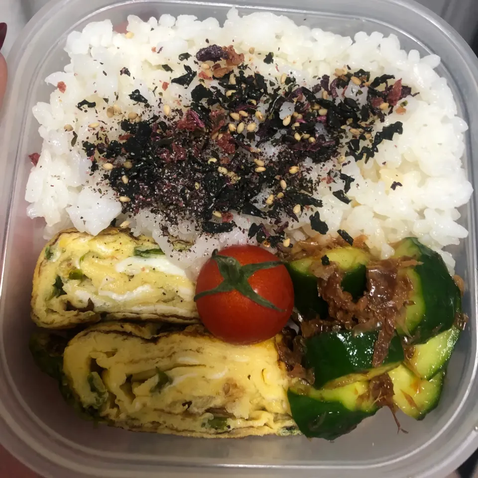 タッパー弁当|kuroさん