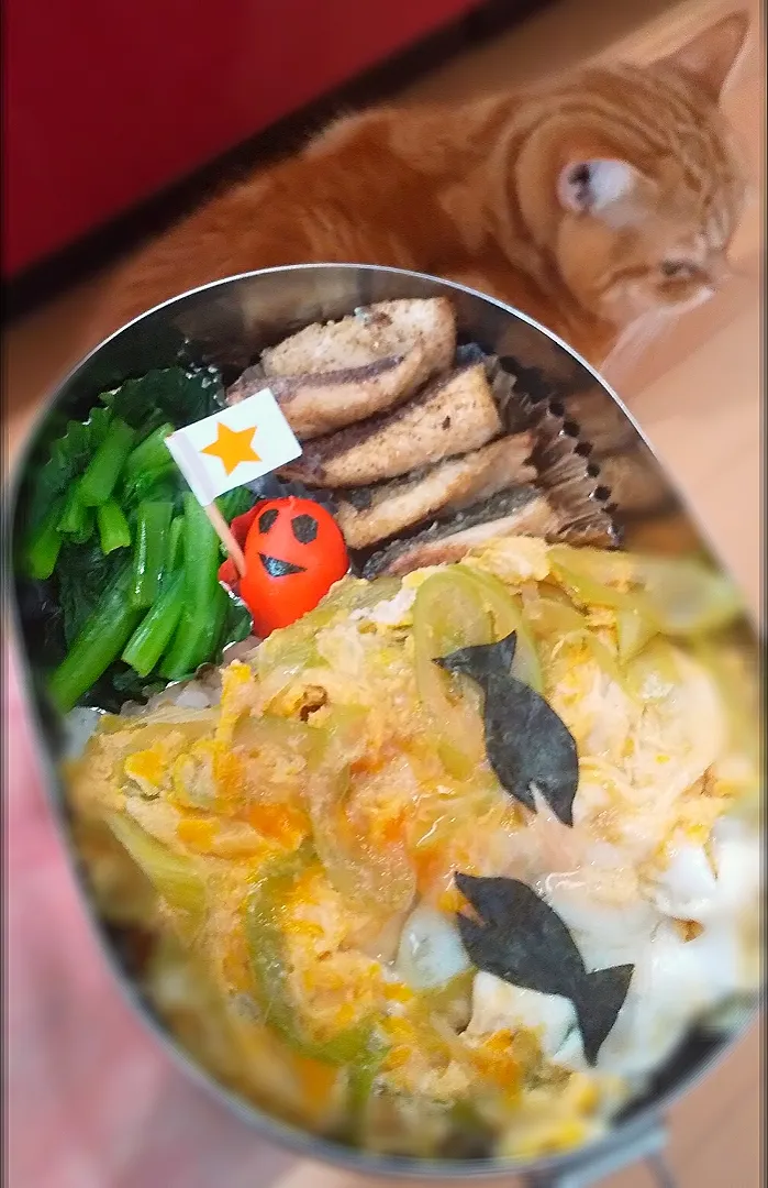 カツ丼と
朝どれアジのから揚げ弁当🐟️|さくらんぼさん