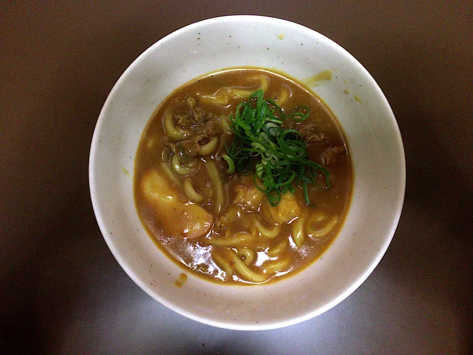 自家製 冷凍カレーうどん(ハーフ)|ばーさんさん