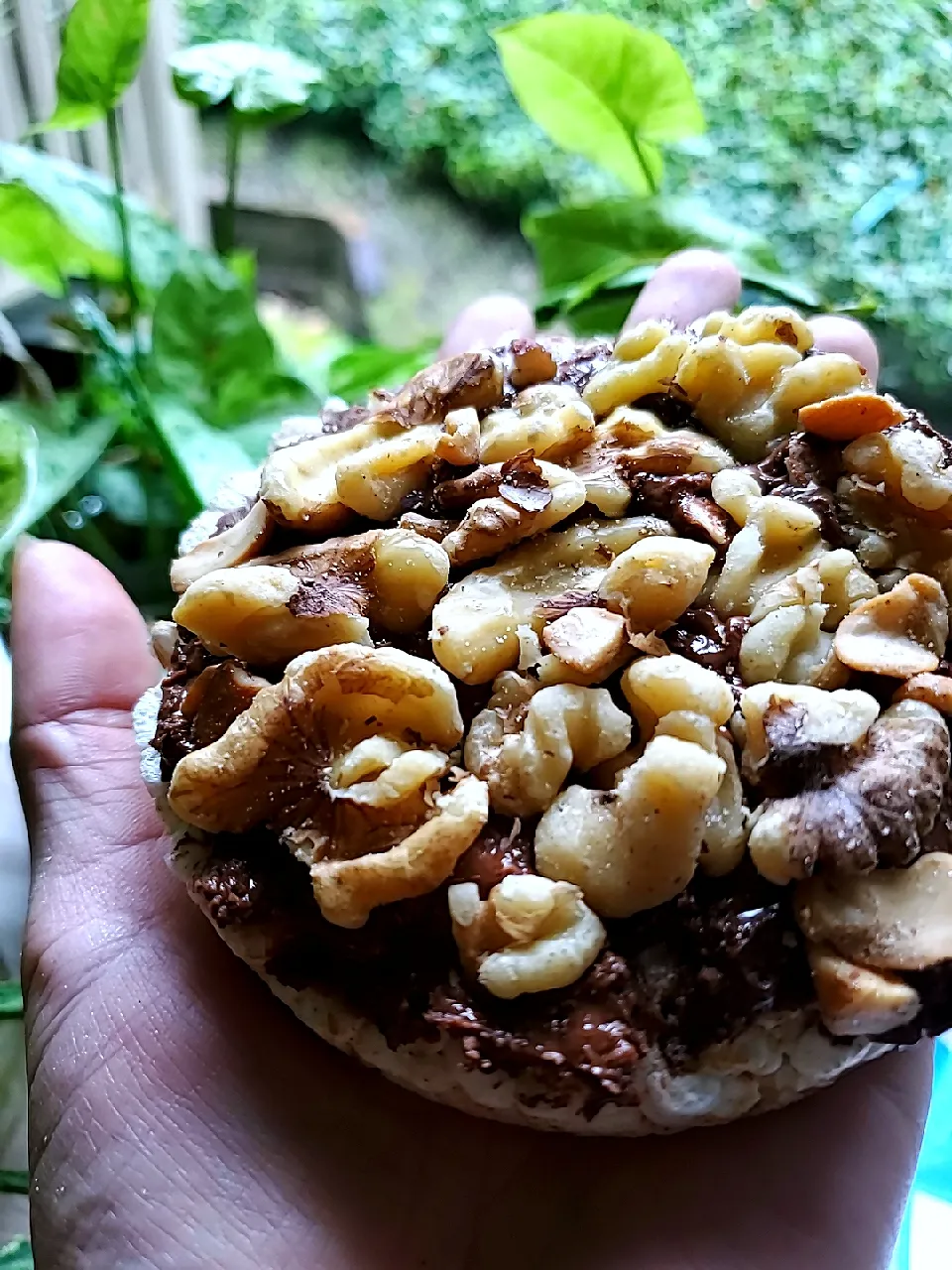 Rice Cake Hazelnut Almond Butter Spread Topped W Walnuts|Ashさん