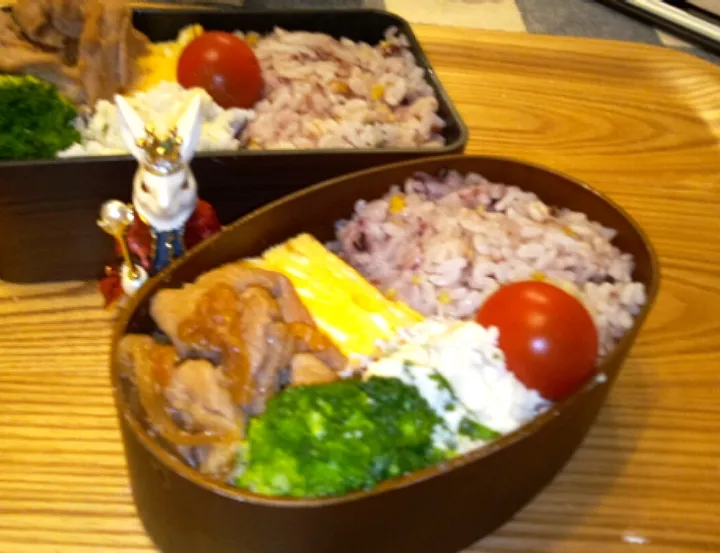 '22．5/16
本日のジジババ弁当🍱|たえさん