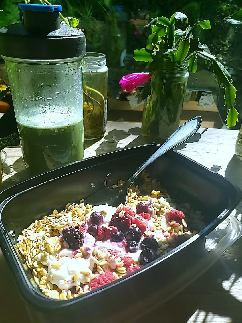 Oats, Bran, Flax, Cashew Yogurt, Berries W Protein Greens|Ashさん