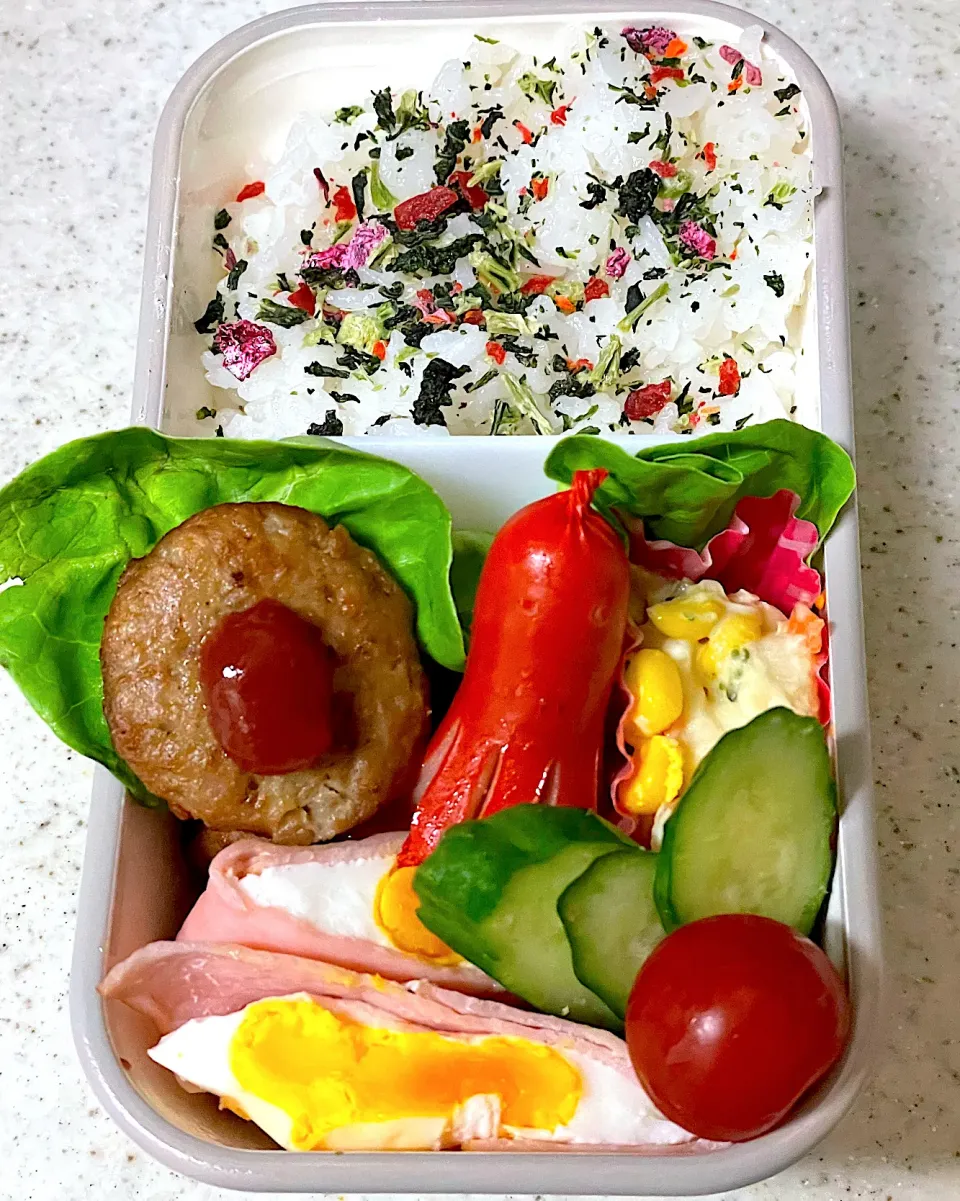 ハンバーグ弁当|besさん