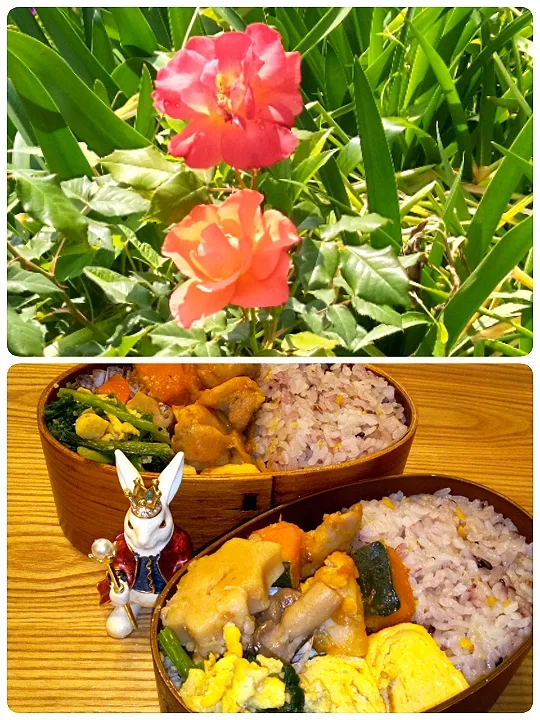 Snapdishの料理写真:'22．5/17
本日のジジババ弁当🍱|たえさん