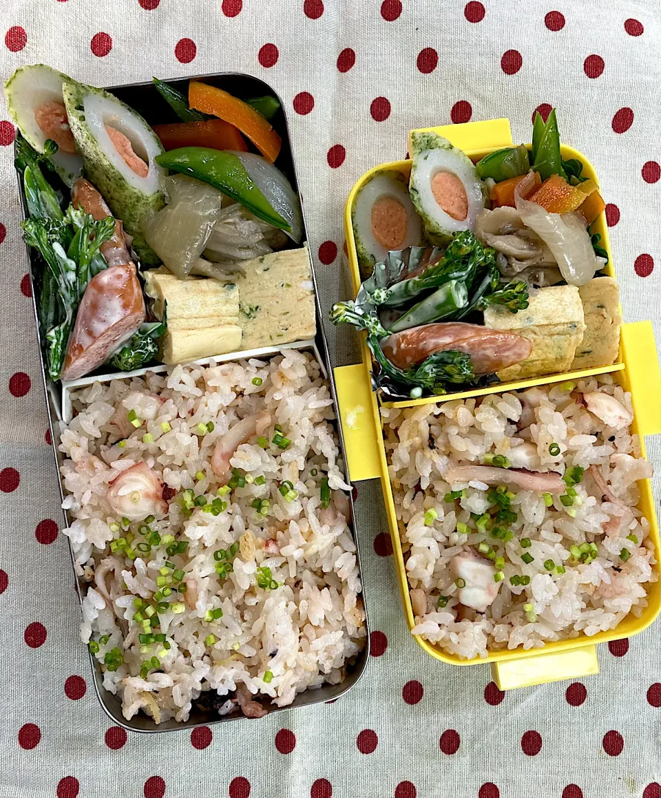 5月18日　タコ飯弁当🍱🐙|sakuramochiさん