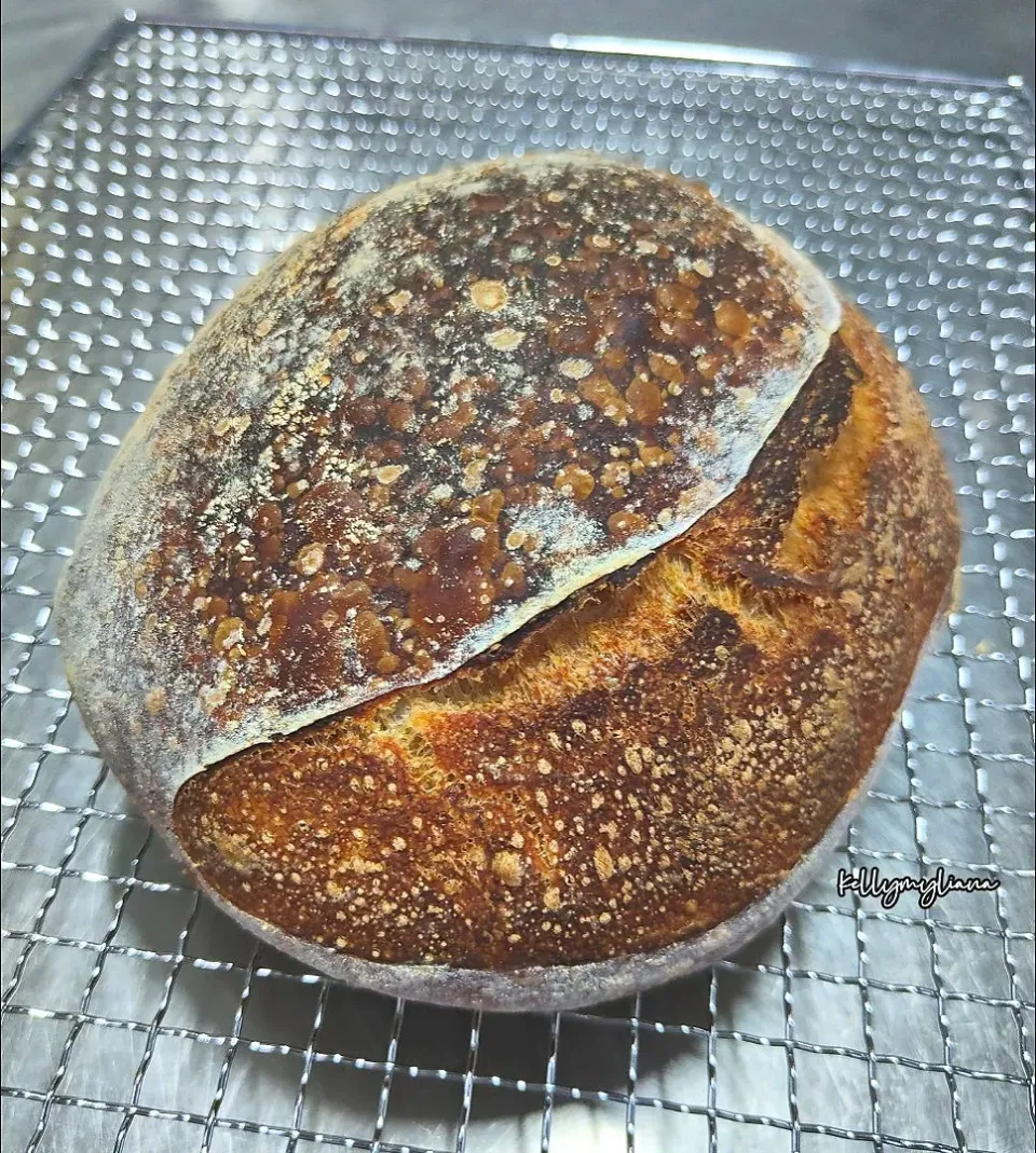 Sourdough|kellymyliana_tew@yahoo.com.sgさん