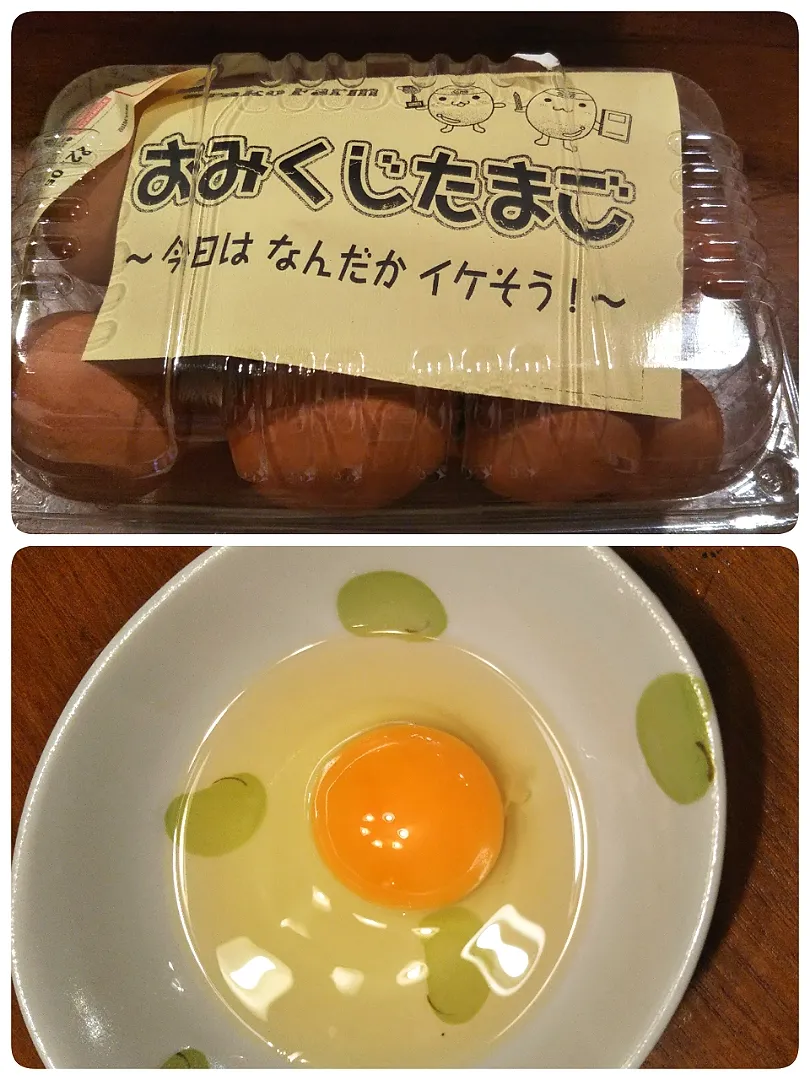 🥚おみくじタマゴ🥚|きみちさん