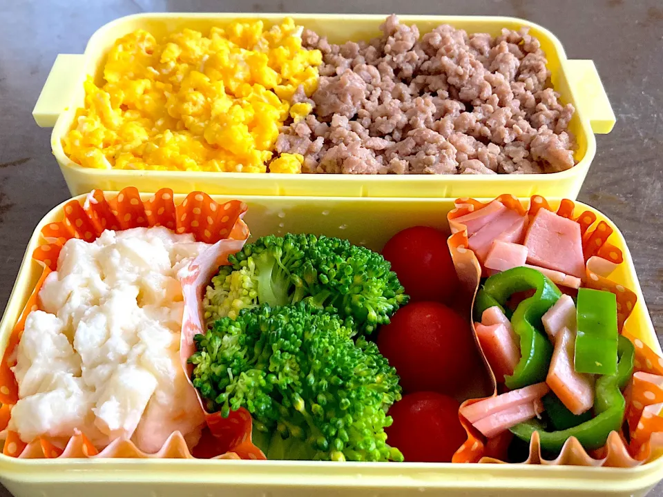 二食丼弁当|料理嫌いを直したいさん