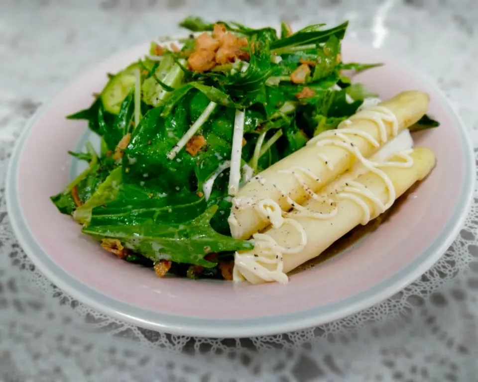 Snapdishの料理写真:今が旬☆北海道の白アスパラ
白アスパラ添え生野菜サラダ|🌻ako ·͜·♡peco🌻さん