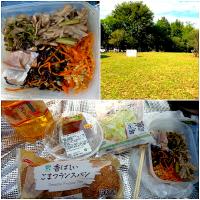 Today's picnic brunch🍴