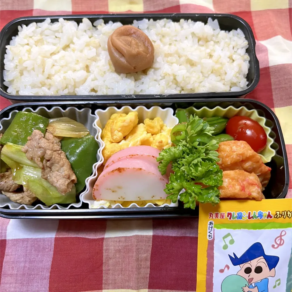 Snapdishの料理写真:娘のお弁当5/20|iguigupopさん