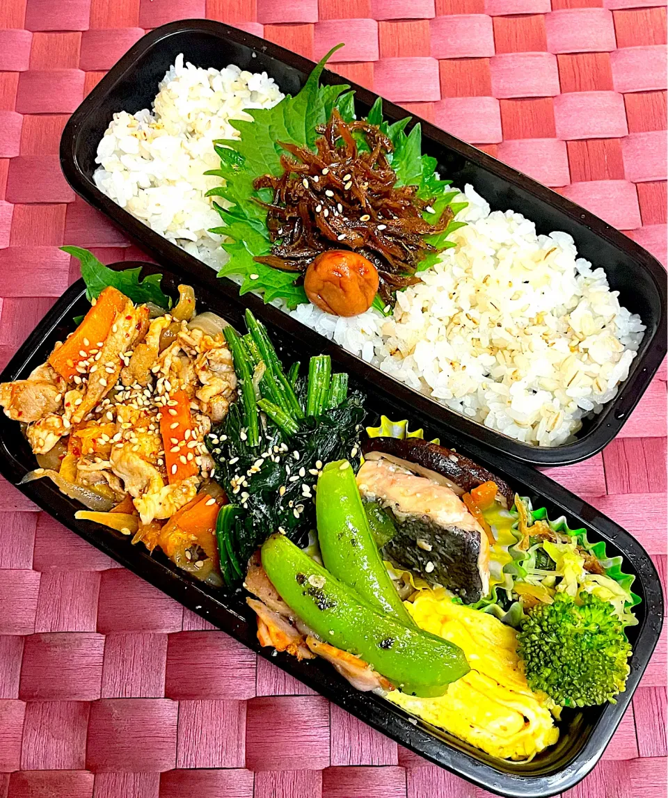 中学生息子のお弁当🍱 豚キムチ弁当🍱|Snow10さん