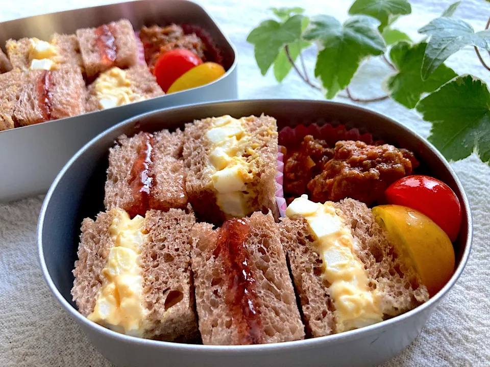 ＊サンドイッチ🥪＆お豆腐入りのミートボール＊ちびたんとべびたんの幼稚園お弁当＊|＊抹茶＊さん