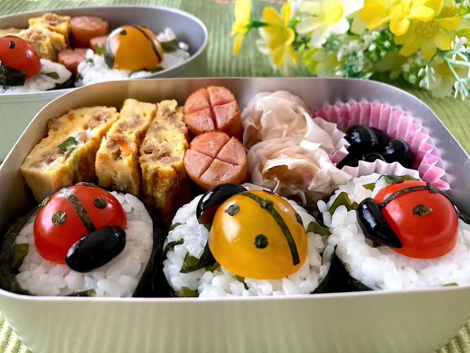 ＊てんとう虫🐞おにぎり🍙ちびたんとべびたんの幼稚園お弁当＊|＊抹茶＊さん