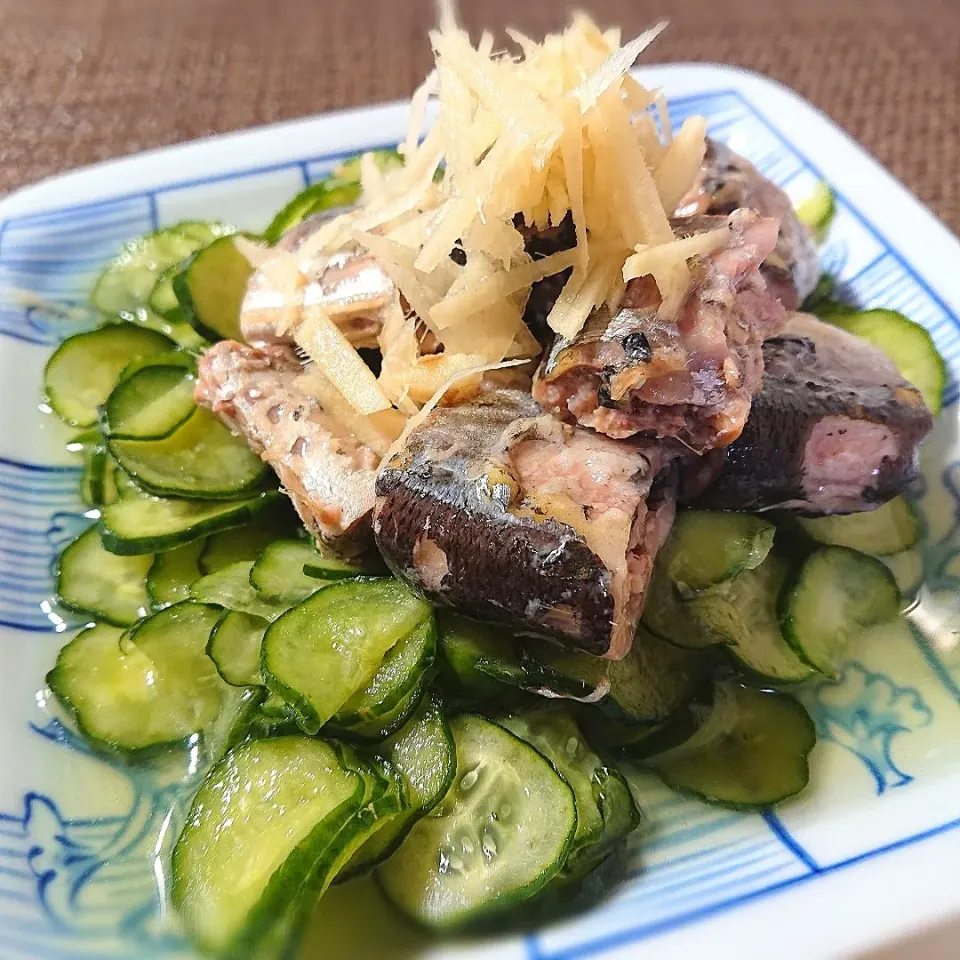 さんま水煮缶で酢の物|ポトスさん