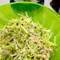 Shredded Chicken, Zucchini and Napa Cabbage Salad