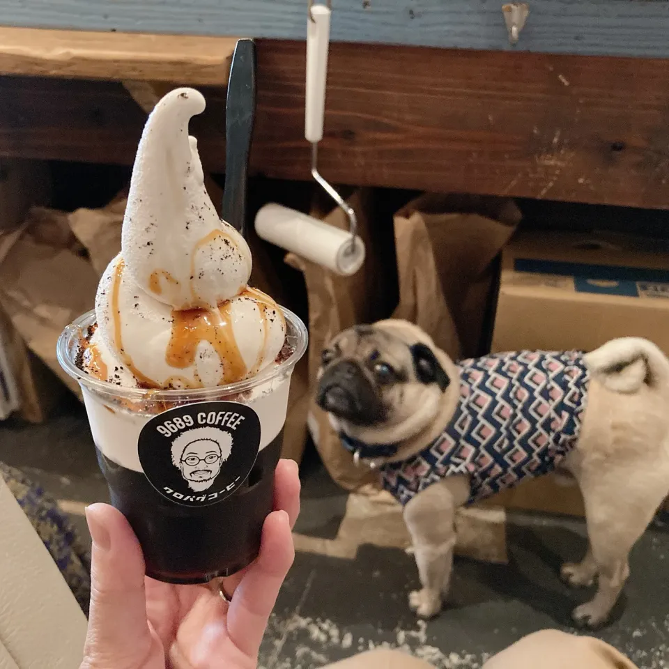 コーヒーゼリーソフトクリーム🍦🐕|ちゃみこさん