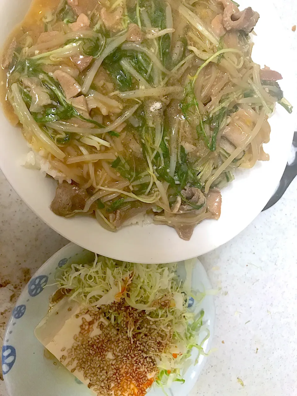 Snapdishの料理写真:あんかけ丼|まみみさん