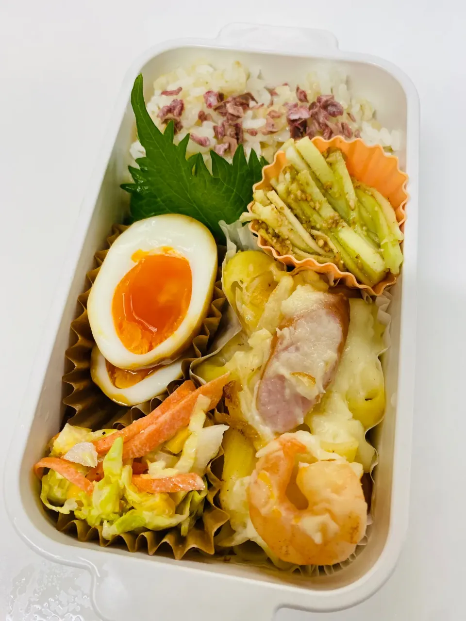 今日のお弁当|ケイトさん