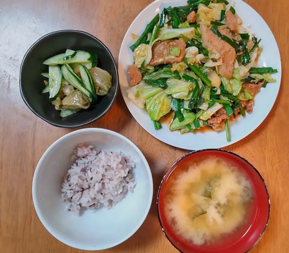 2022 0523　ごま味噌肉野菜炒め　ザーサイきゅうり　豆腐とわかめのお味噌汁|いもこ。さん