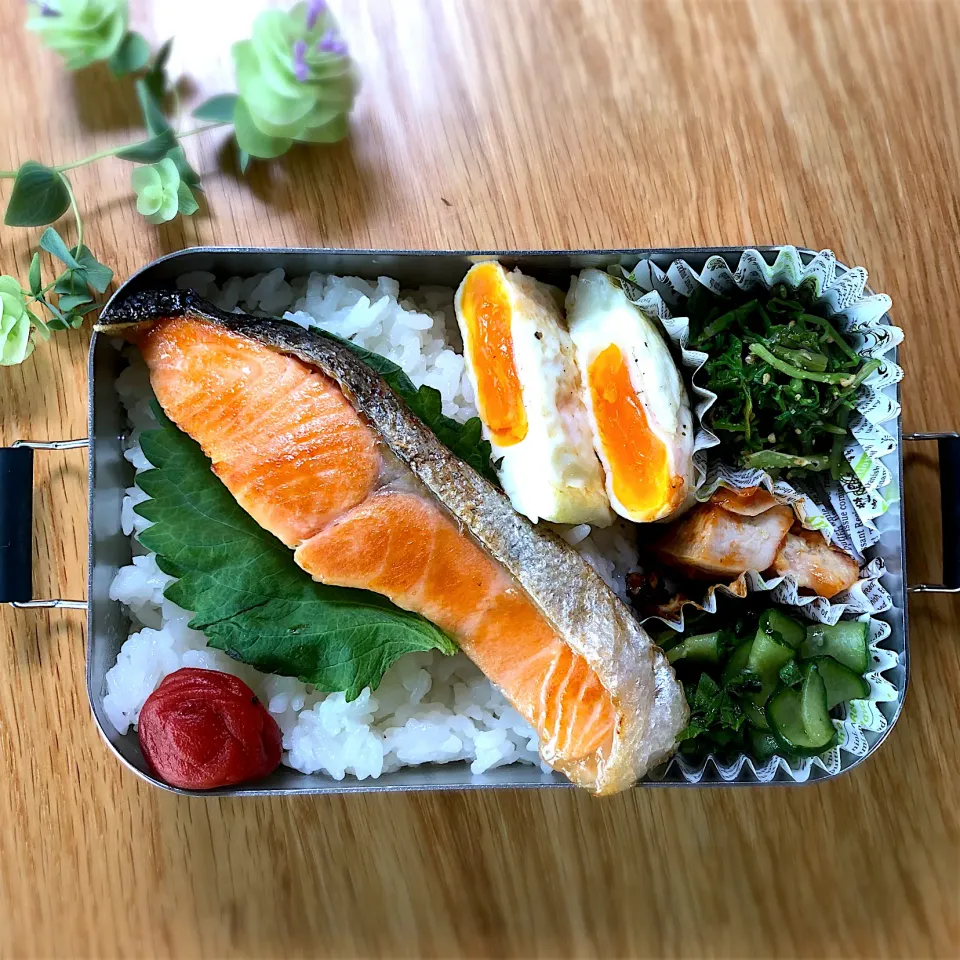 サラ弁　　　　　　　　　　　　　　　　　　焼き鮭　目玉焼き　セリのお浸し　胡瓜の紫蘇酢物|じゅんさんさん