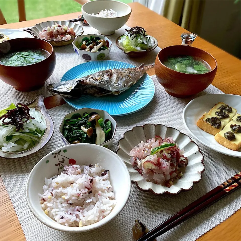 鯵のたたきと鯵の塩焼きの晩ごはん|むぎこさん