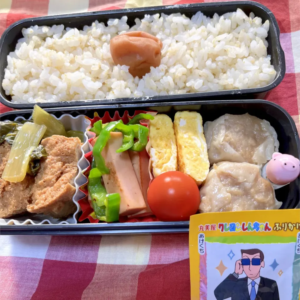 Snapdishの料理写真:娘のお弁当5/26|iguigupopさん