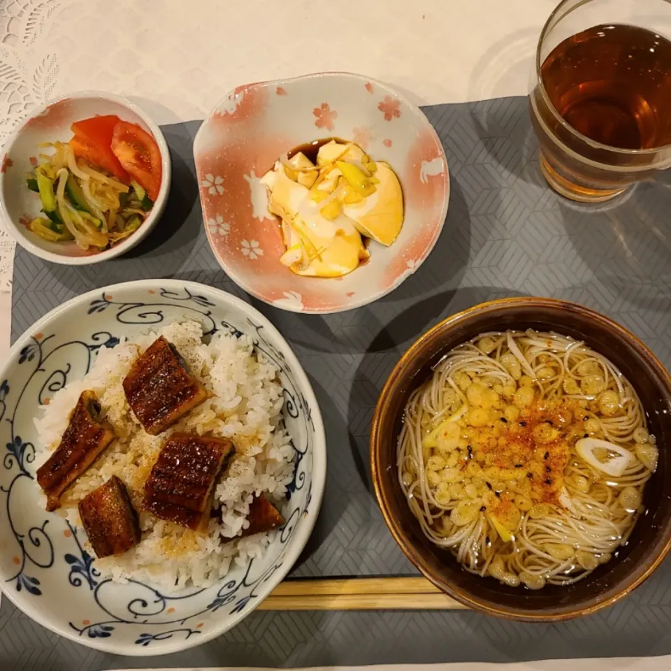 うなぎ、きゅうりともやしの酢の物、冷奴、にゅうめん|ともさん