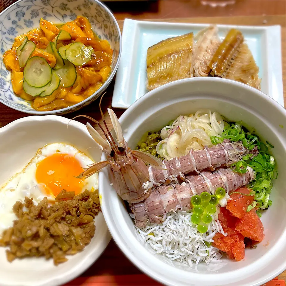 Snapdishの料理写真:ももさんの料理 キタデ丼食べよっ🏈✨#北出丼 #ラグビー日本代表#力飯#早い#簡単#美味い#しらす#高菜#ネギ#明太子#温泉卵#そして#ごま油#コレでいいのだ#RWC2019|ももさん