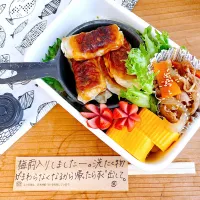 Snapdishの料理写真:餃子弁当|ayanoさん