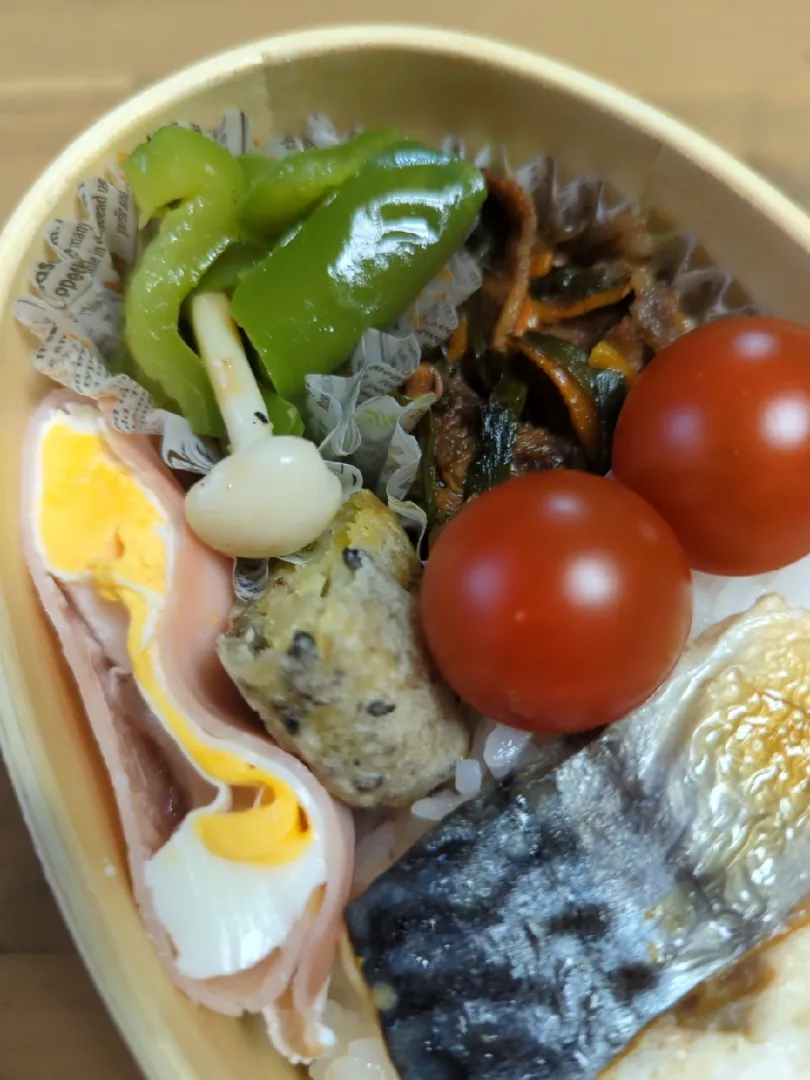 Snapdishの料理写真:今日のお弁当|おてんば☆スマイルさん