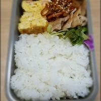 はじめてのお弁当投稿