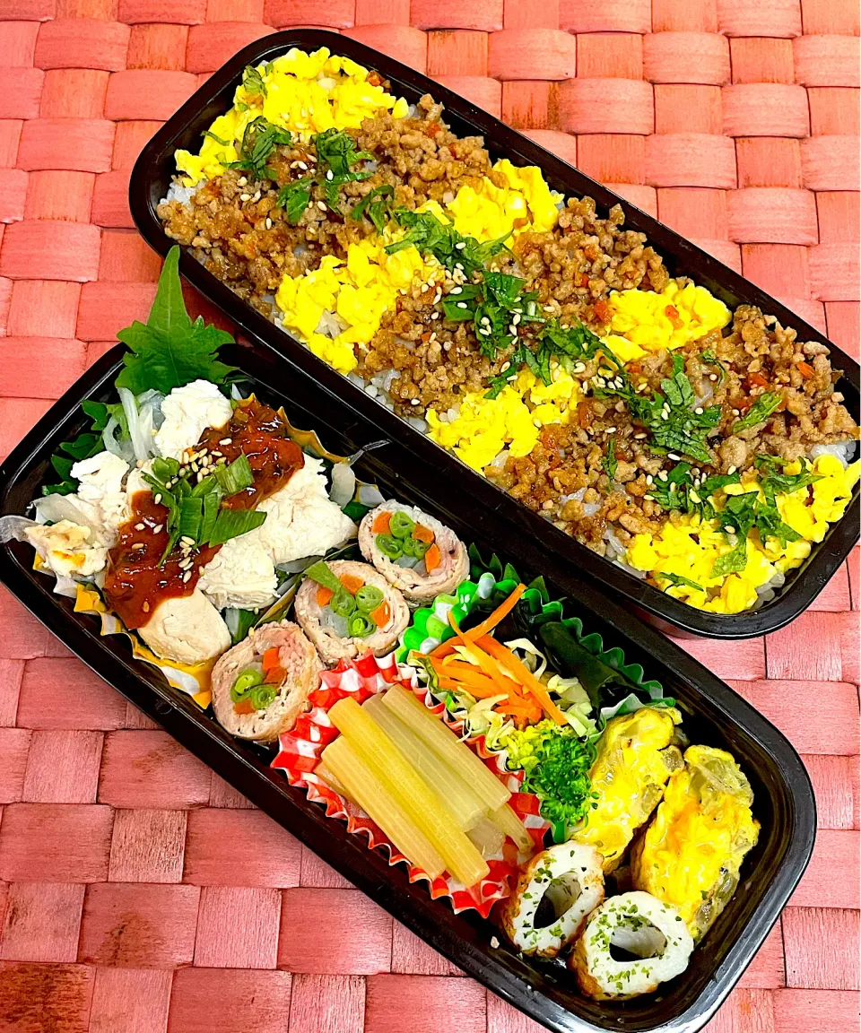 中学生息子のお弁当🍱 そぼろ丼弁当🍱|Snow10さん