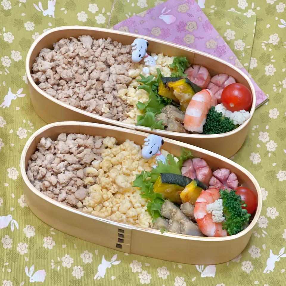 そぼろ丼☘️の双子ちゃんお弁当💙❤️ 5/30月|sweet homeさん