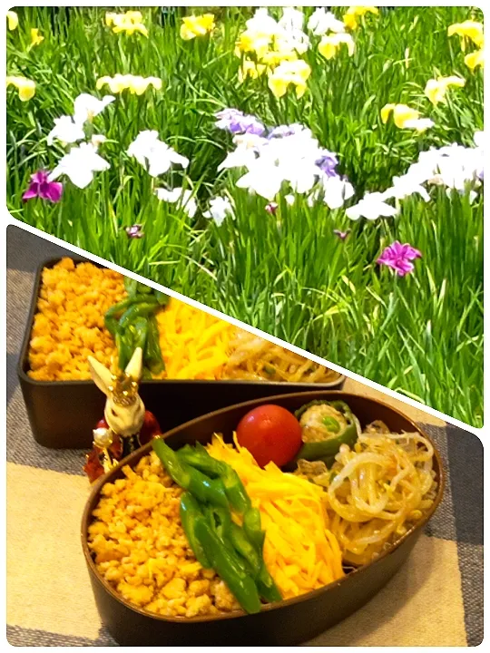 '22．6/1
本日のジジババ弁当🍱|たえさん