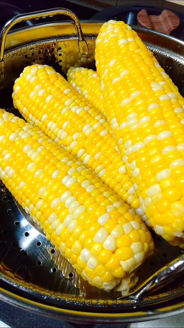 🌽初物🌽
🌽山梨とうもろこし🌽|クークマさん