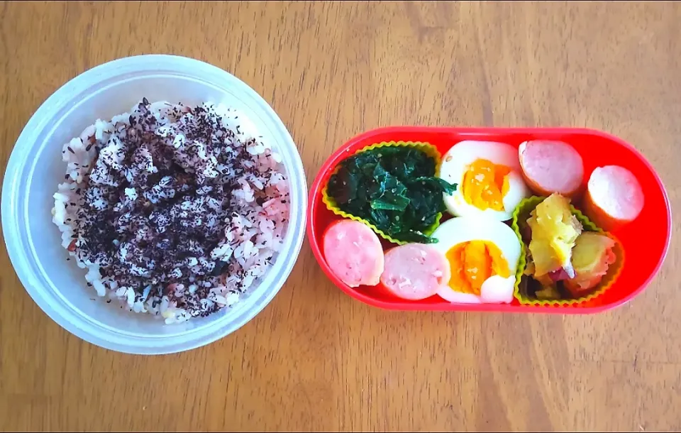 2022 0601　お弁当|いもこ。さん