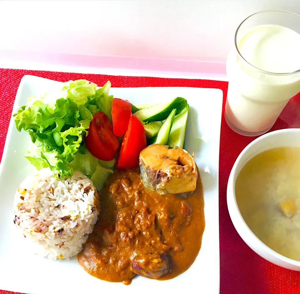 Snapdishの料理写真:鯖味噌缶とスパイスチキンカレー🍛^ - ^💪|HAMI69さん