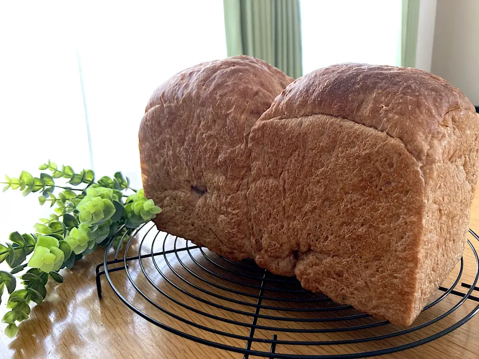 ＊ココア山食パン＊|＊抹茶＊さん