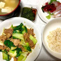 Snapdishの料理写真:豚肉とチンゲンサイの炒め物|白金春馬@明日からがんばるさん