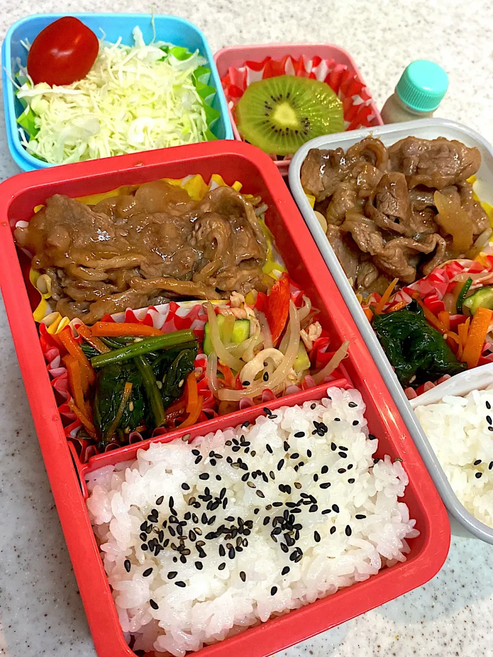 Snapdishの料理写真:牛焼肉　弁当|asumamaさん